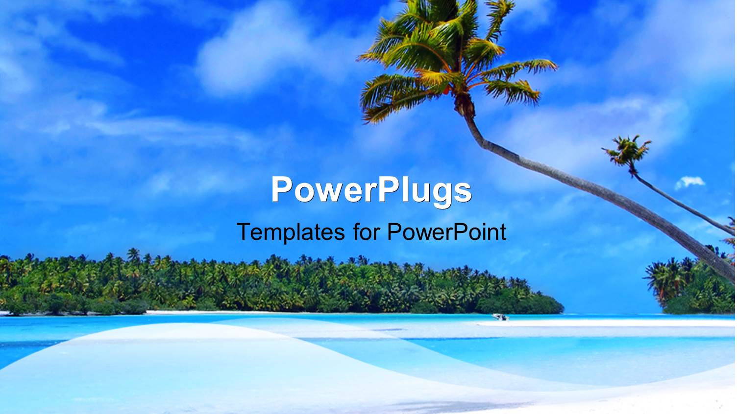 a Palm Tree with Se Ain the Background