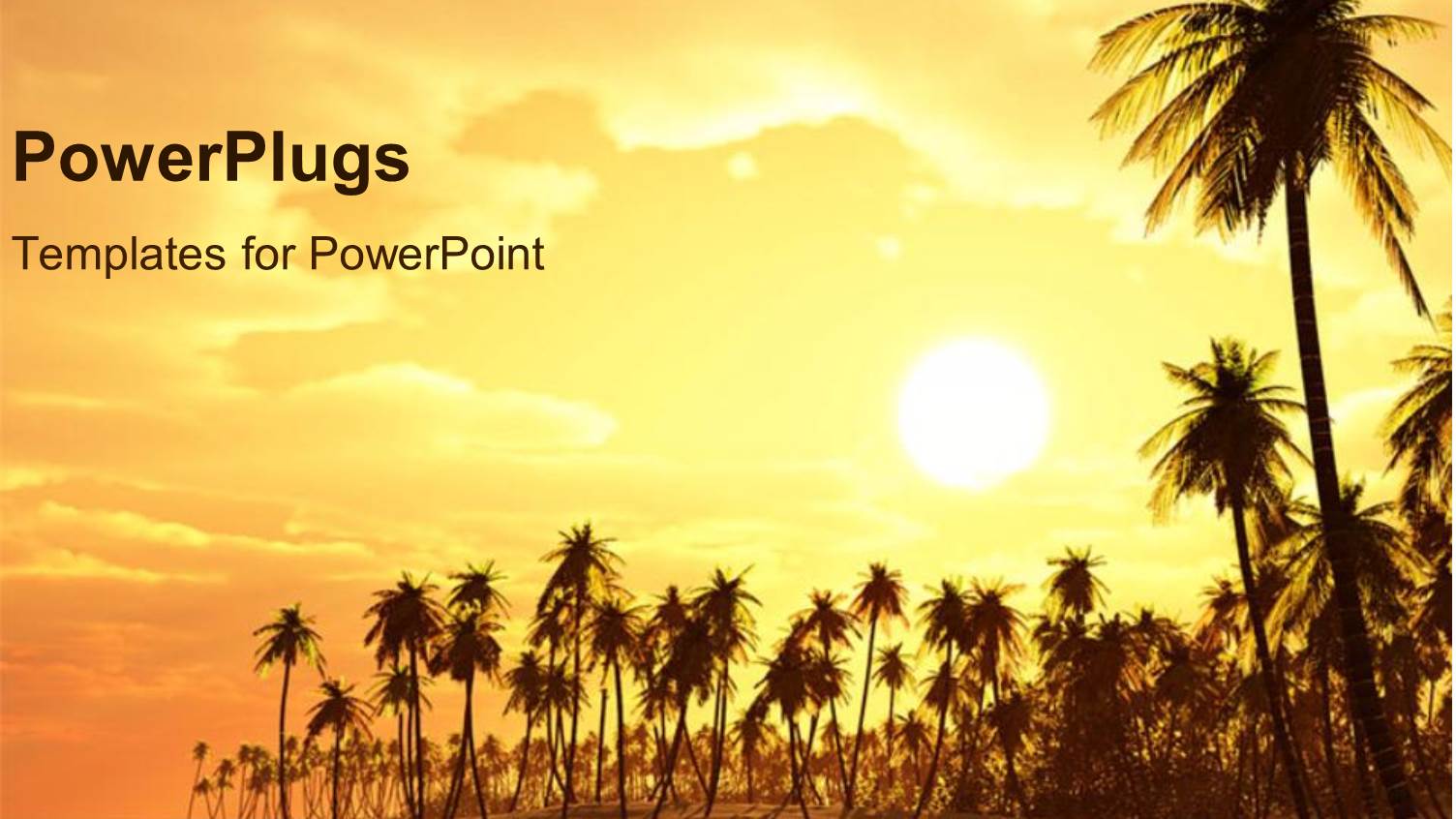 Palm Trees on a Beach with Sunset in the Background