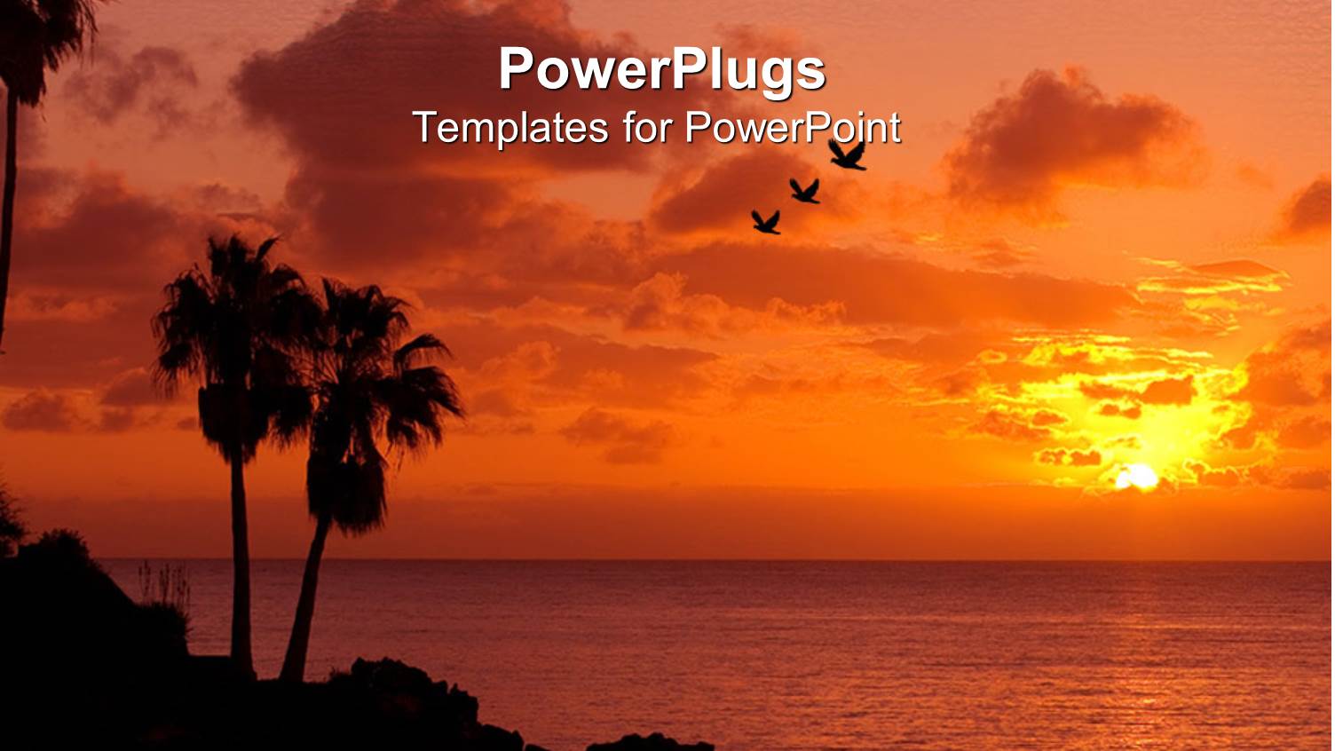 Palm Trees on Beach at Sunset with Three Birds Flying across the Sky