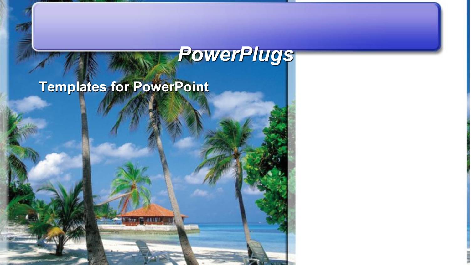 Palm Trees on Tropical Beach, Travel, Island