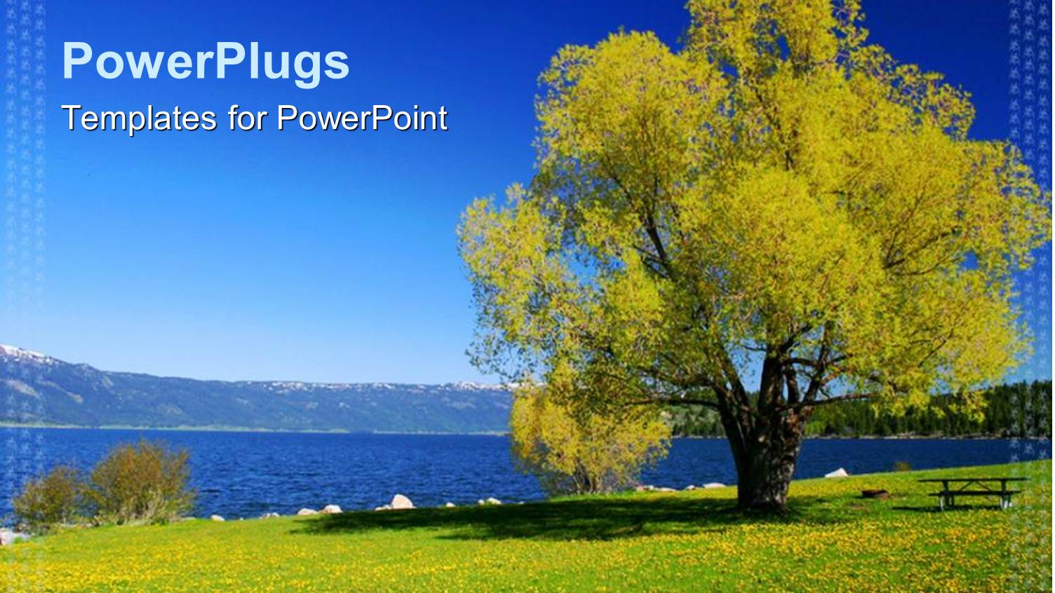 Park Landscape with Trees, Lake, Mountain Background