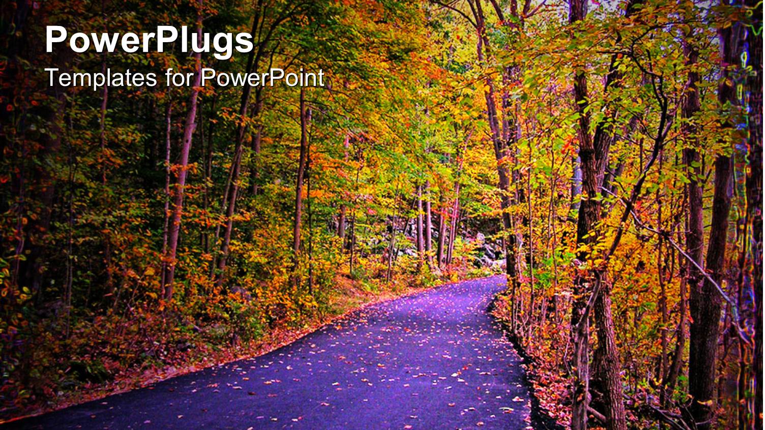 Paved Path Through Woods in Autumn