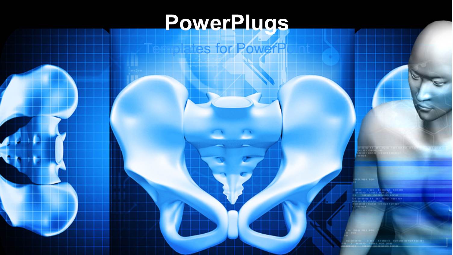 the Pelvis in the Form of an Inner View with a Human Being at One Side