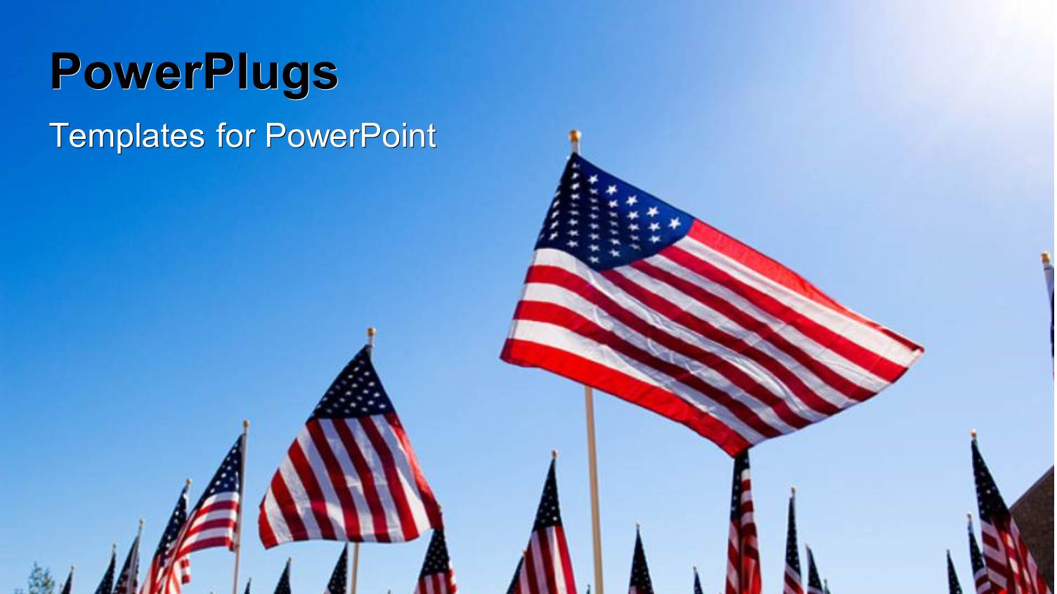 People in a Rally with a Number of American Flags