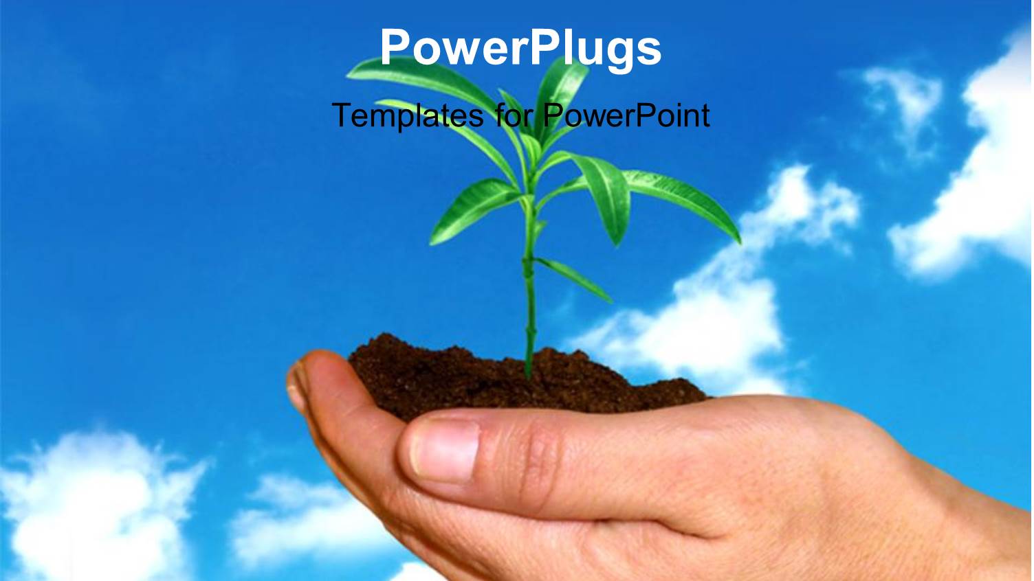 a Person with a Plant in his Hand