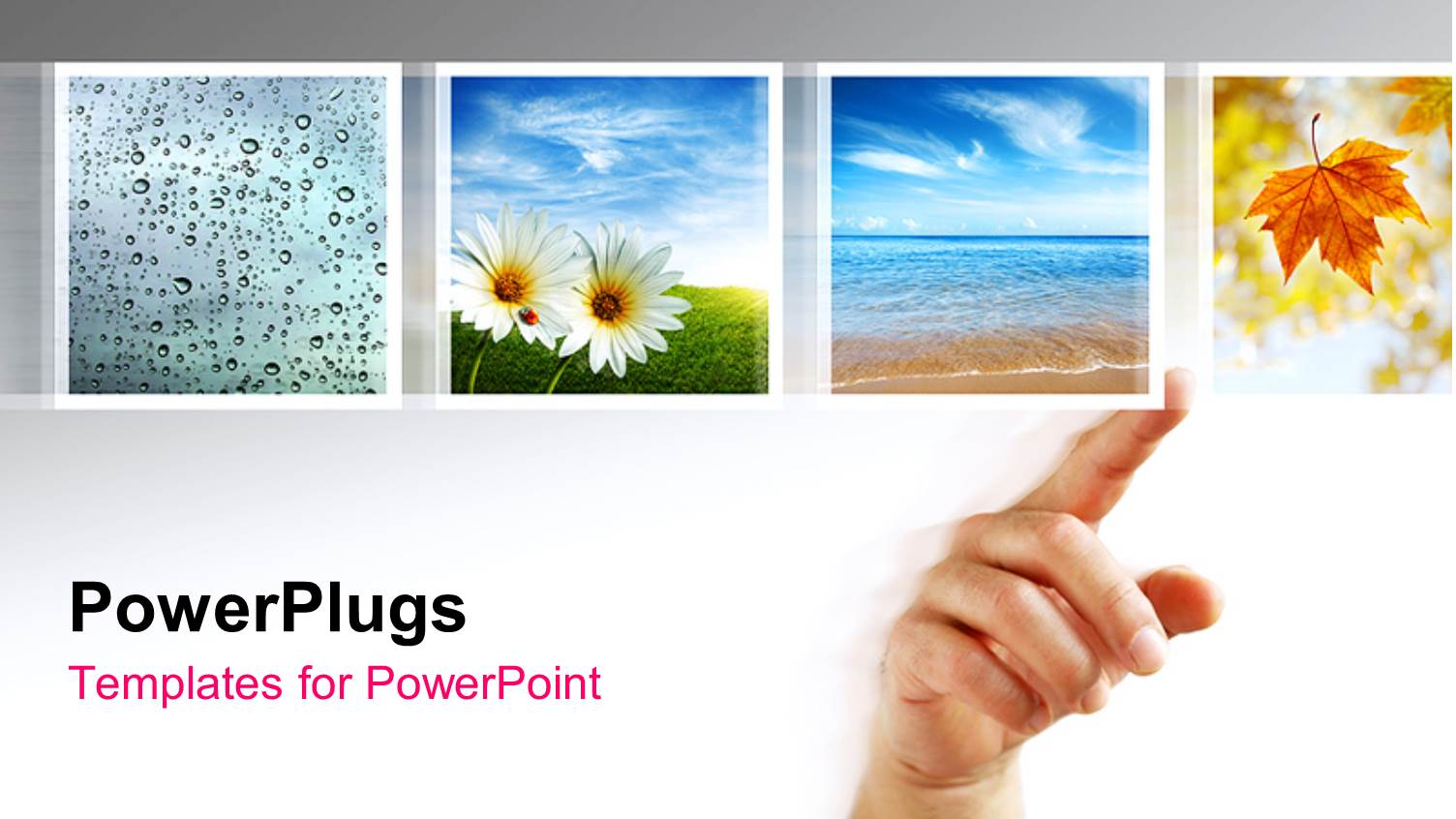 a Person Pointing Towards Various Figures of Leaves