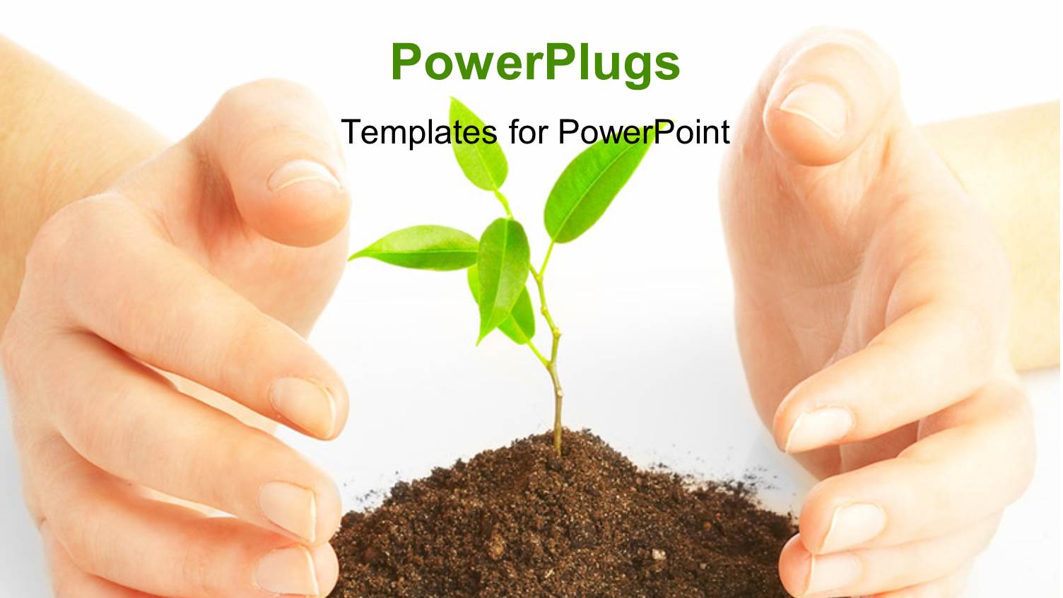 a Person Protecting a Plant with White Background