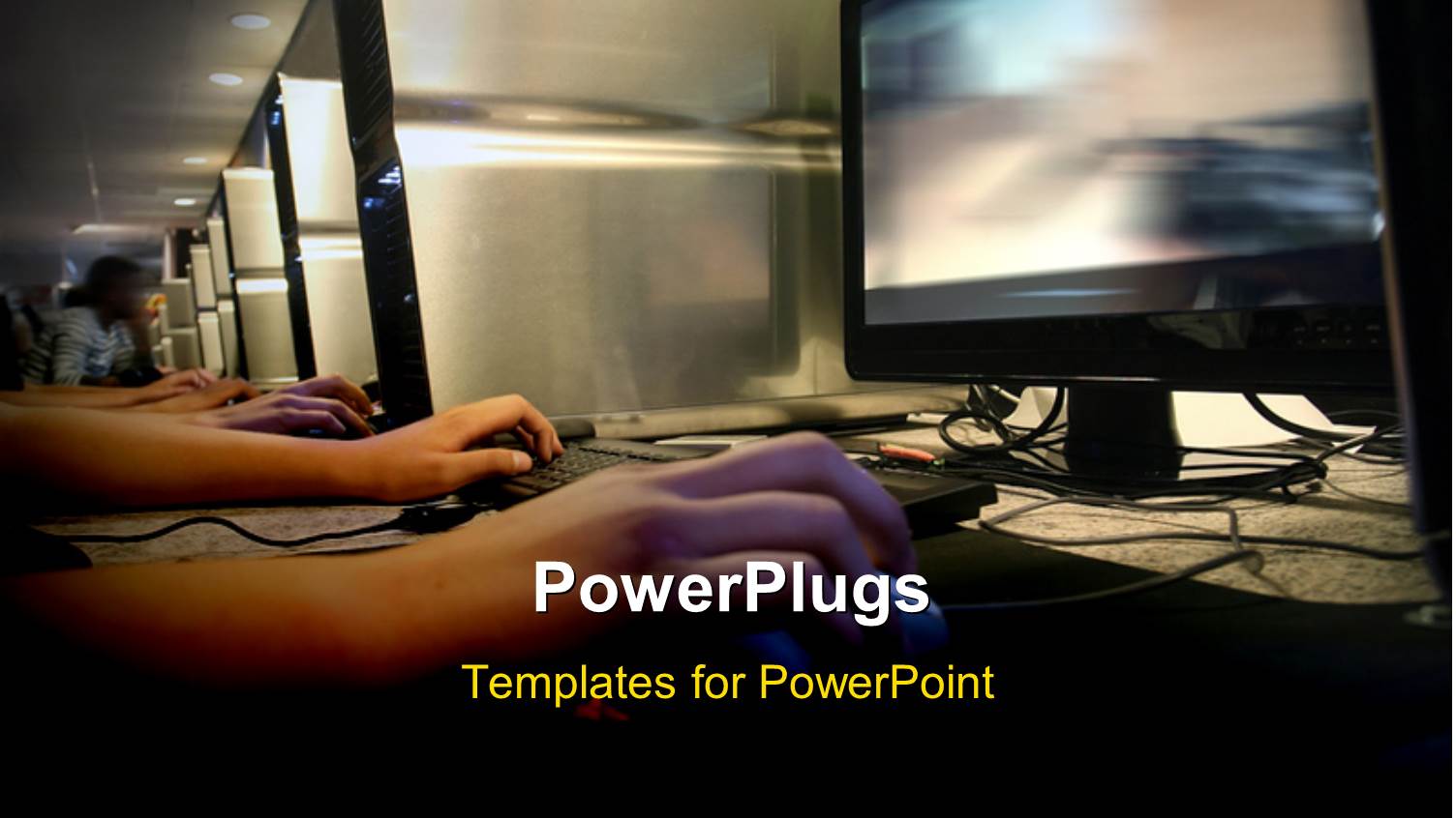 a Person Working on the Computer