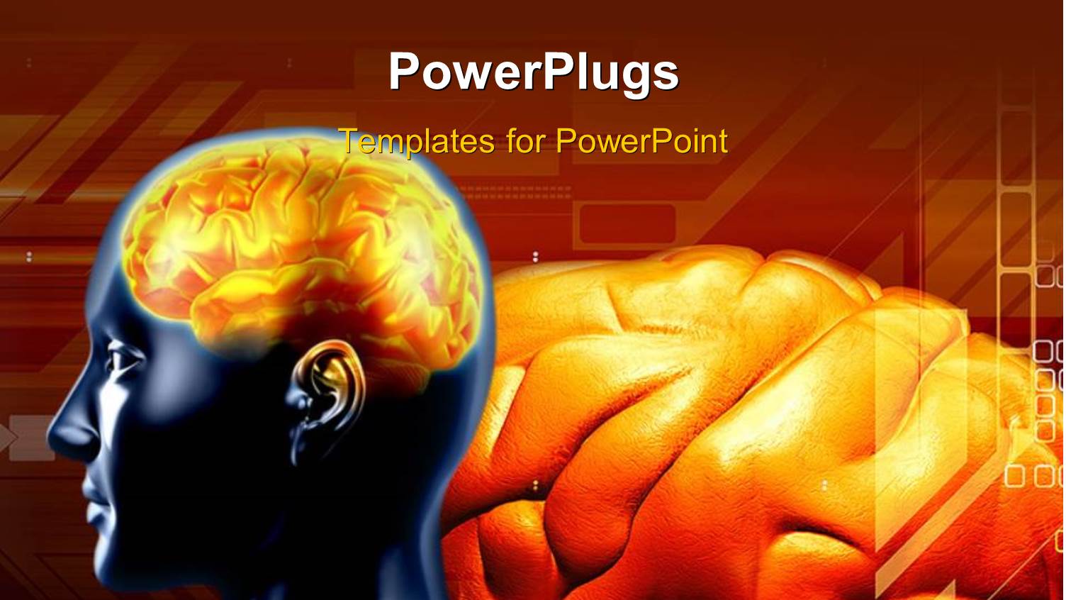 a Person's Brain with Reddish Background