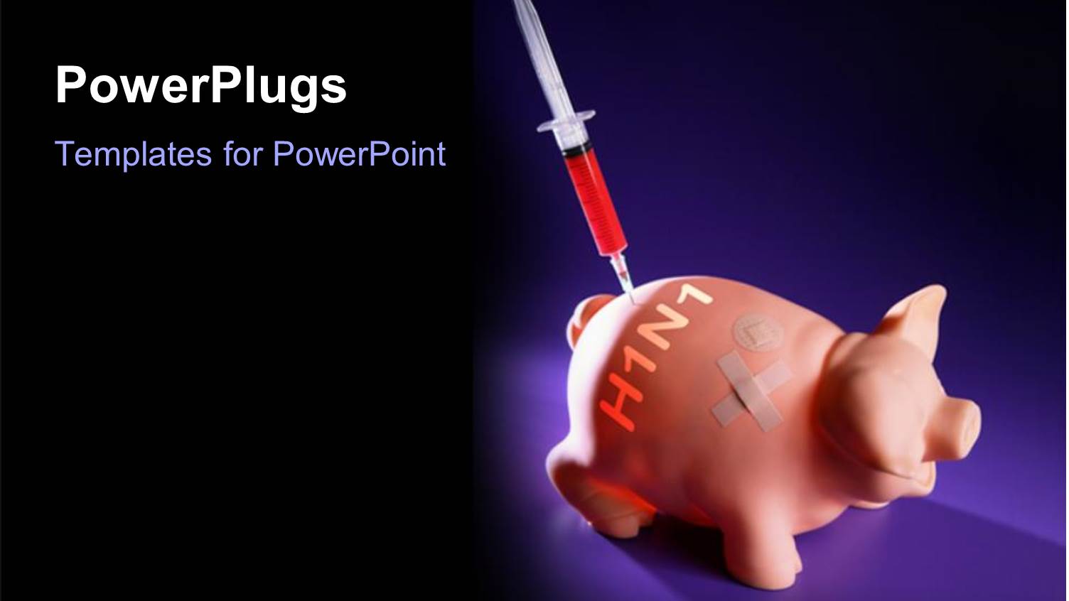 a Pig Ggang  Injection and Bluish Background