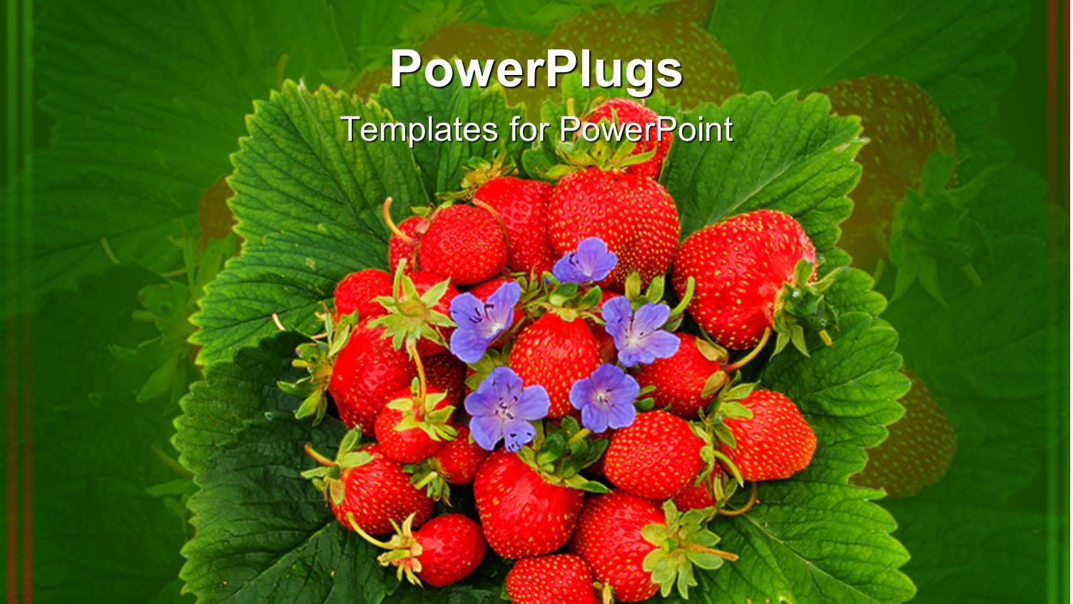 Pile of Ripe Red Strawberries with small Purple Flowers and Green Leaves