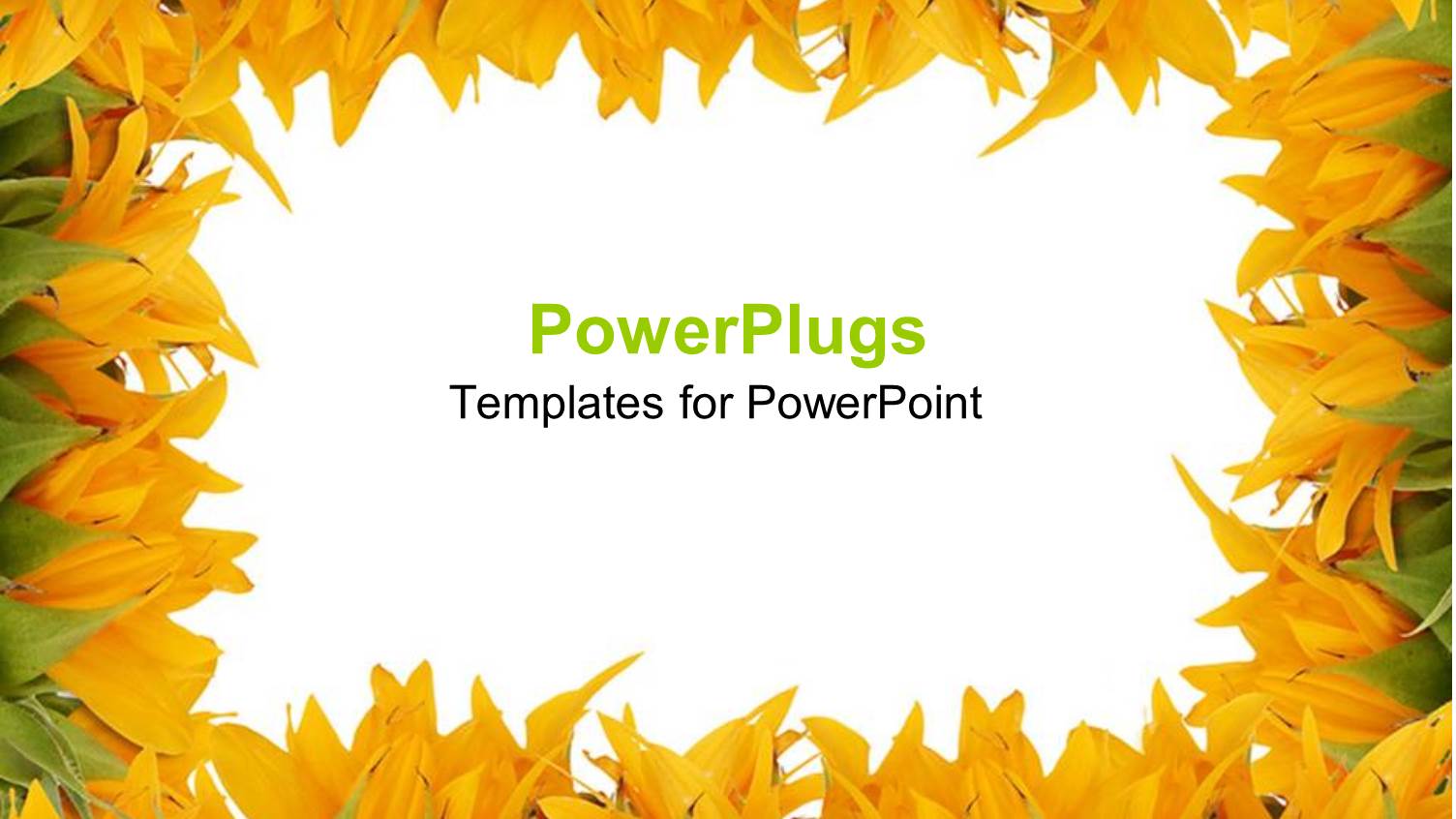 a Place for Text in the Middle Surrounded by Flowers