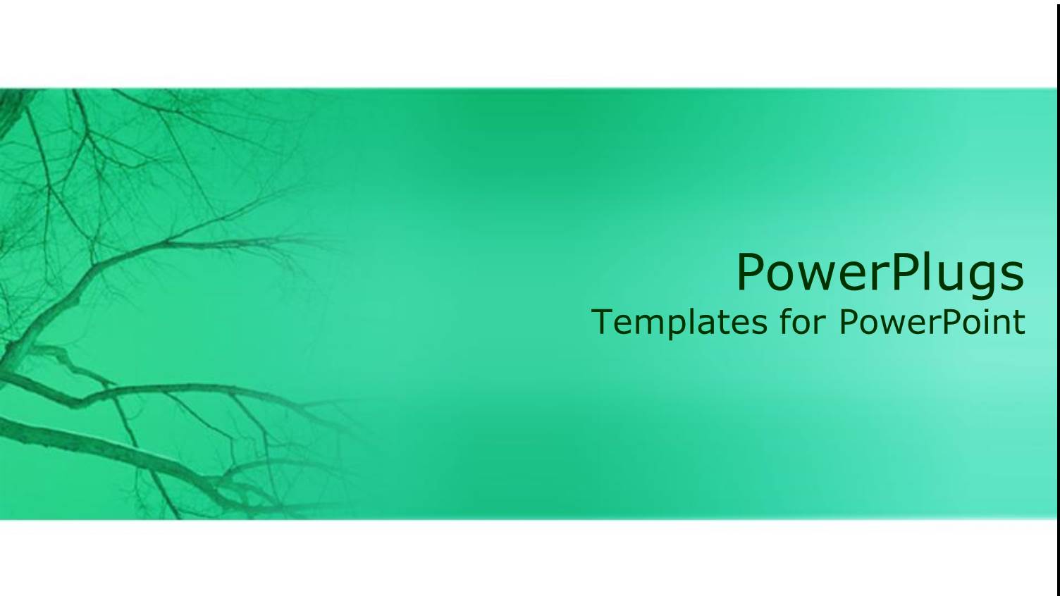 Plane Green Hue Background with Dried Empty Tree Branch