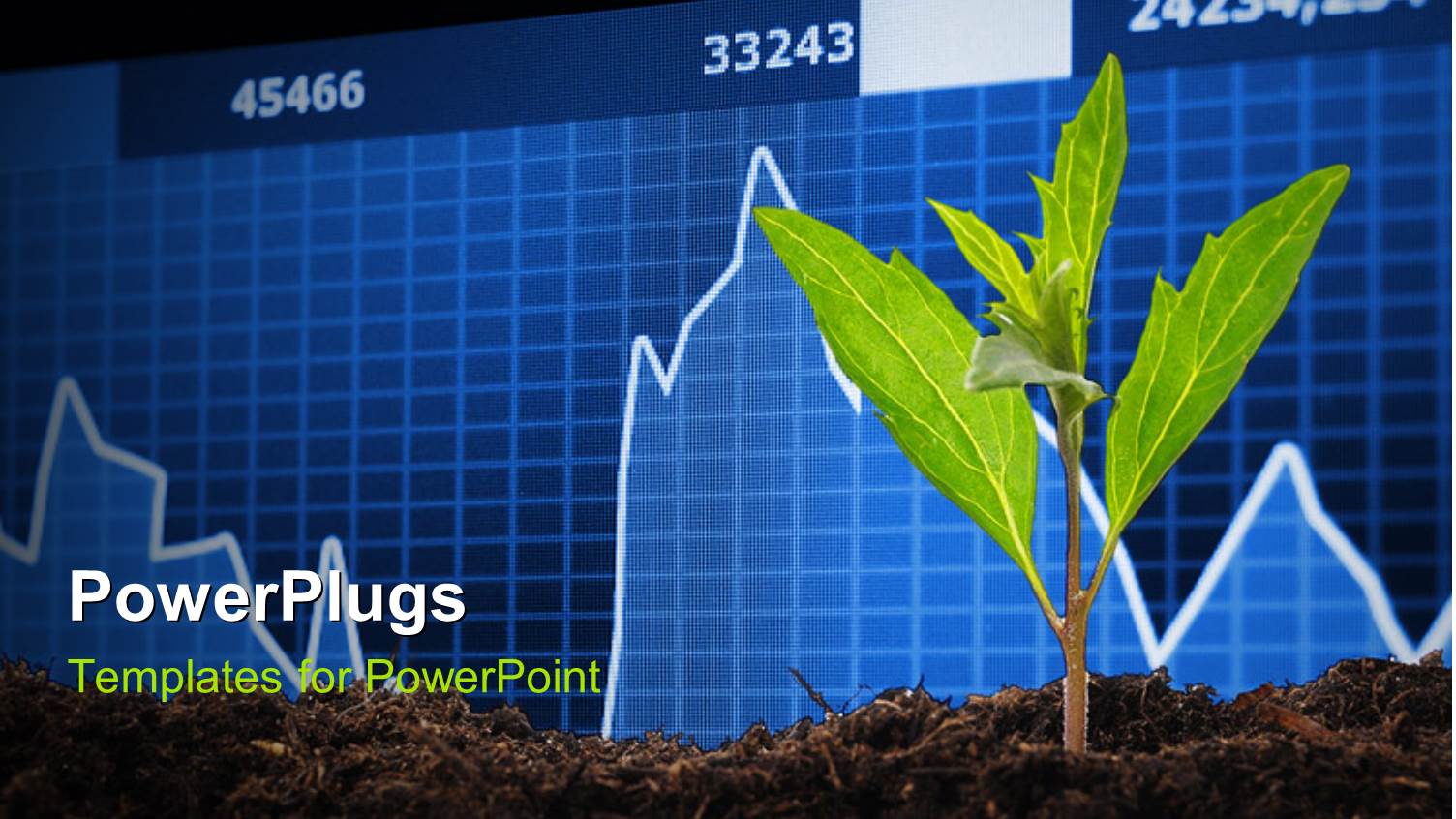 a Plant and a Financial Report in the Background