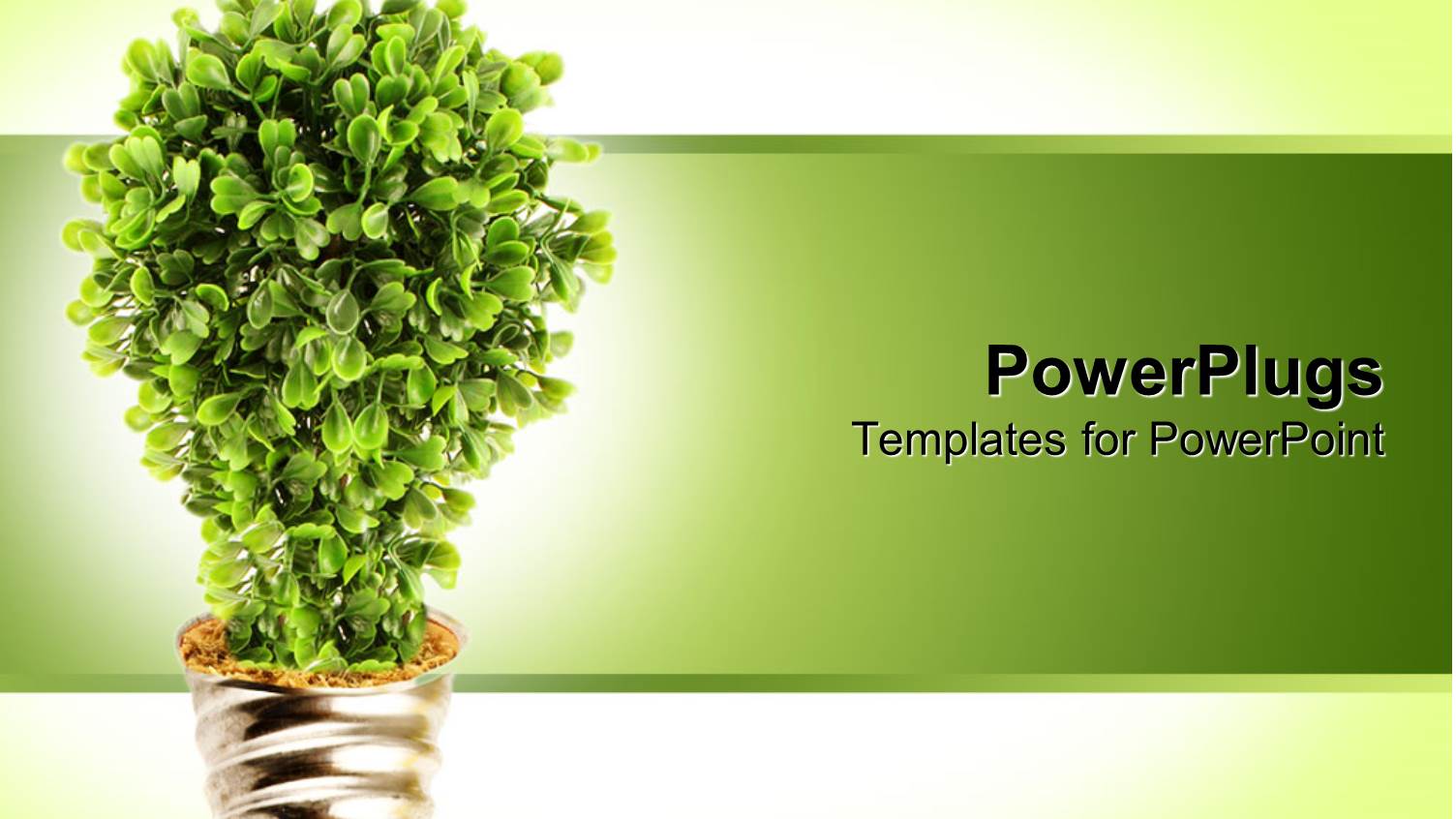 Plant Growing from Light Bulb Base with Green Background