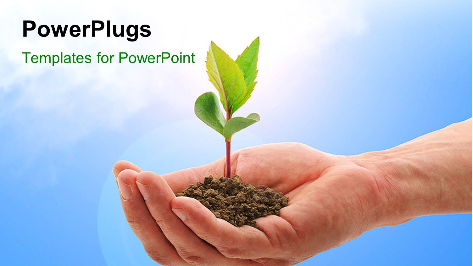 Plant in Hand Depicting Care with Sky