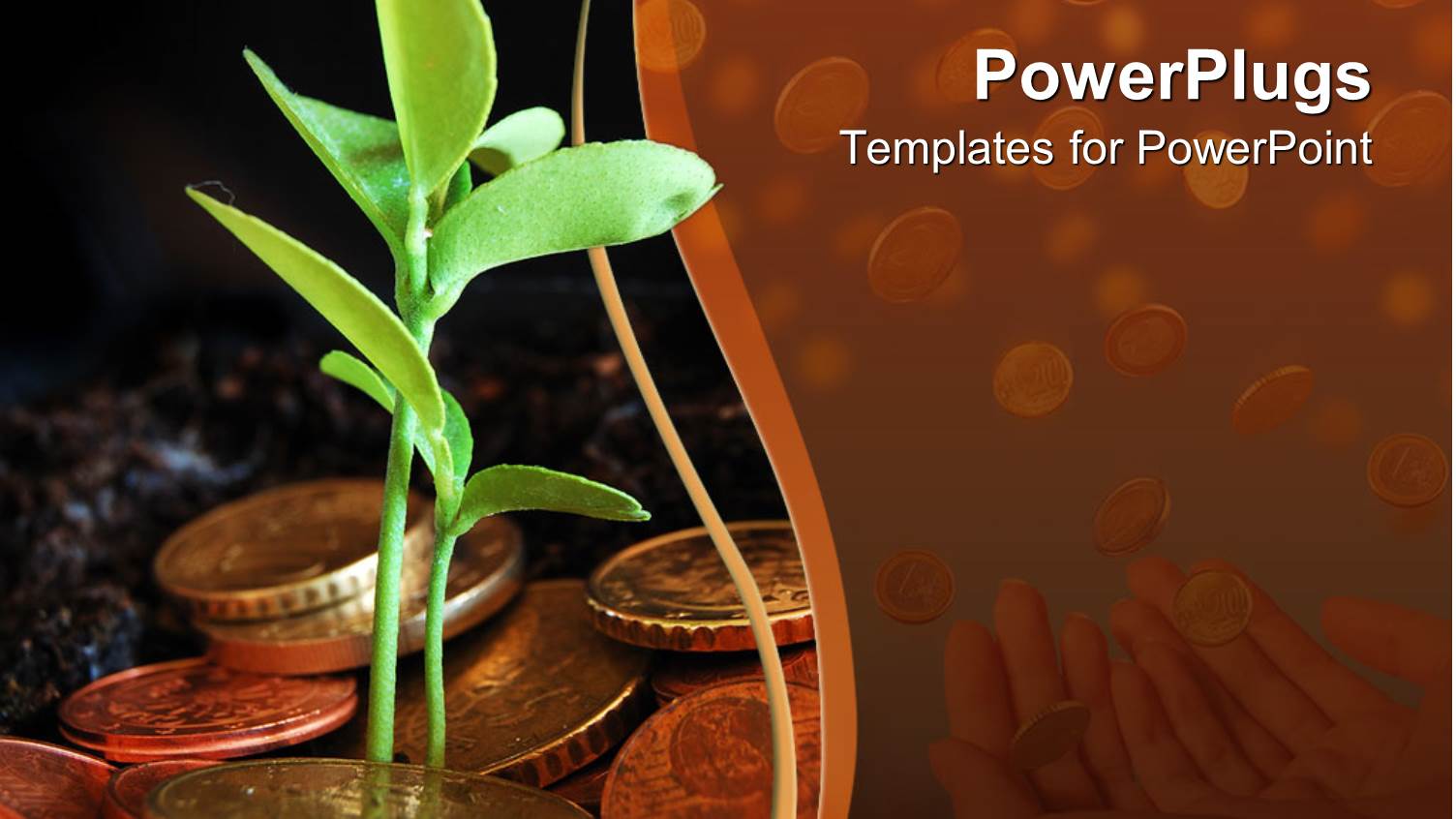 a Plant and a Number of Coins with a Pair of Hands in the Background