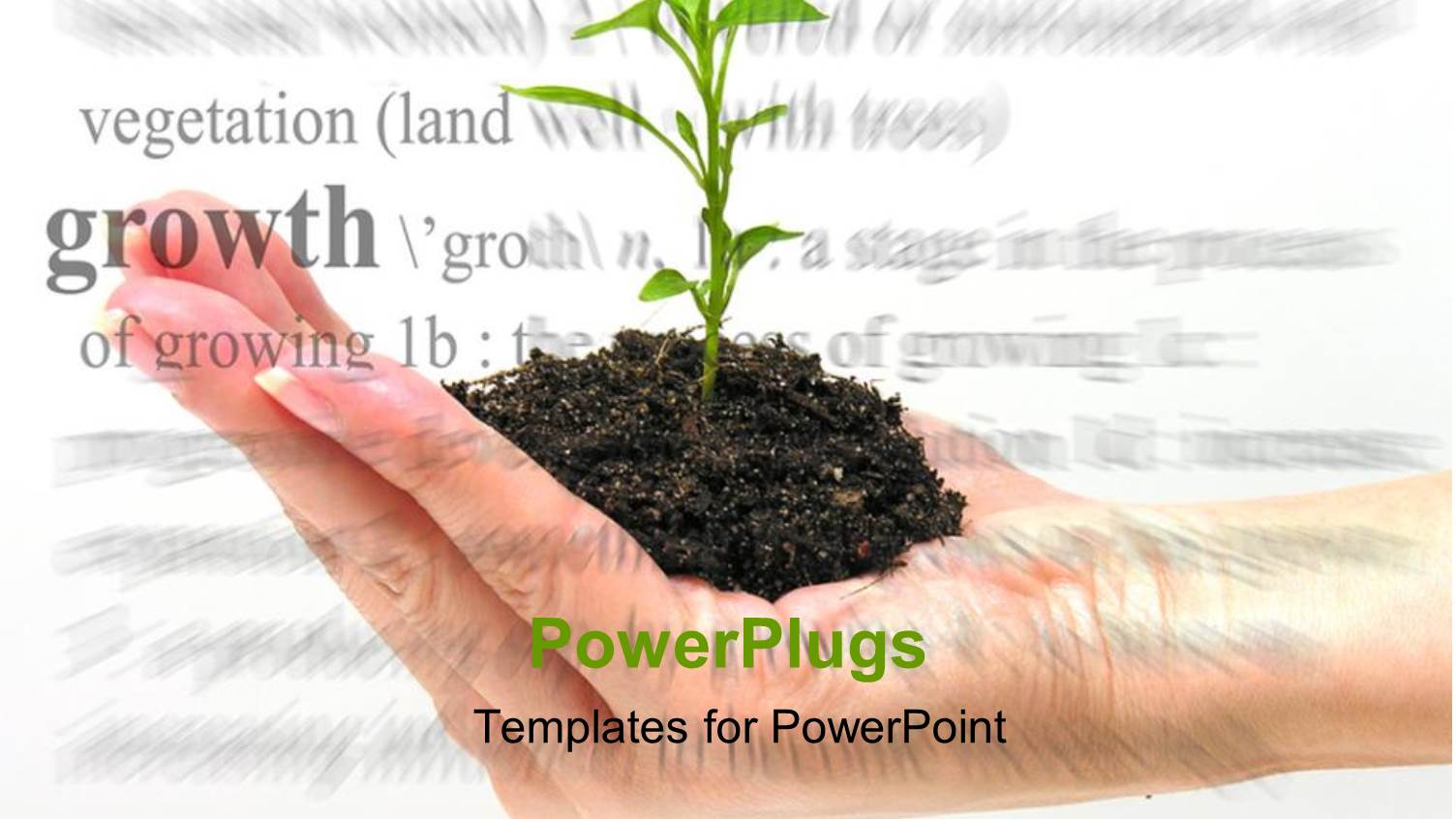 a Plant in the Palm of the Hand