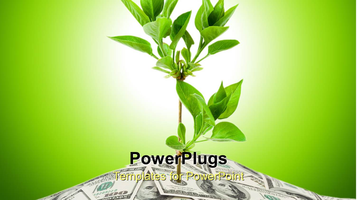 a Plant with its Roots Inside the Currency Notes