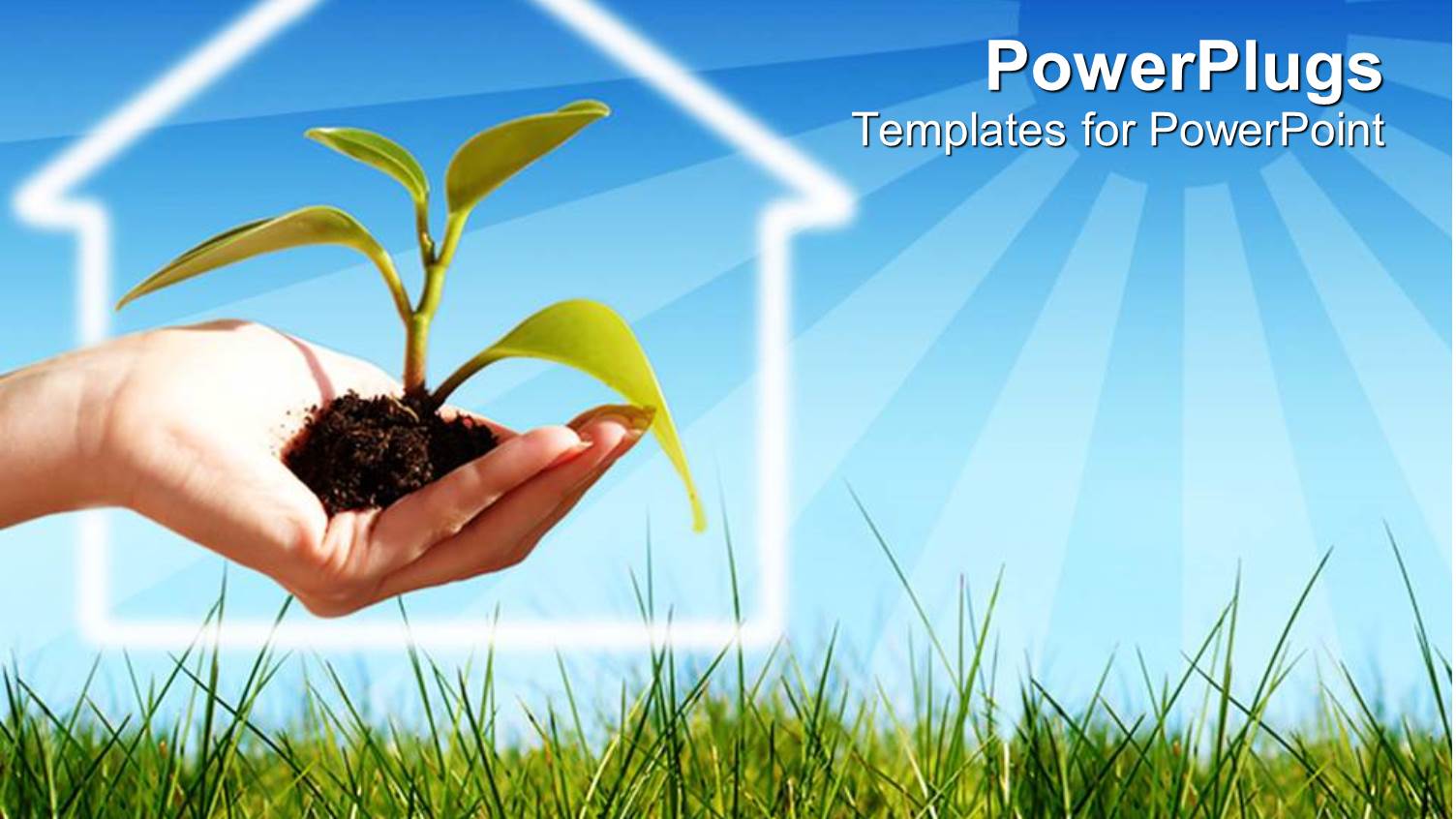 Plant Sprouting from Sand in Woman's Hand with Green Vegetation
