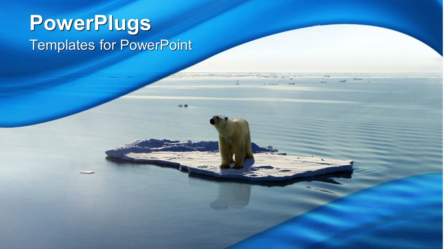 Polar Bear on Ice Piece Floating on the Water of Arctic Sea