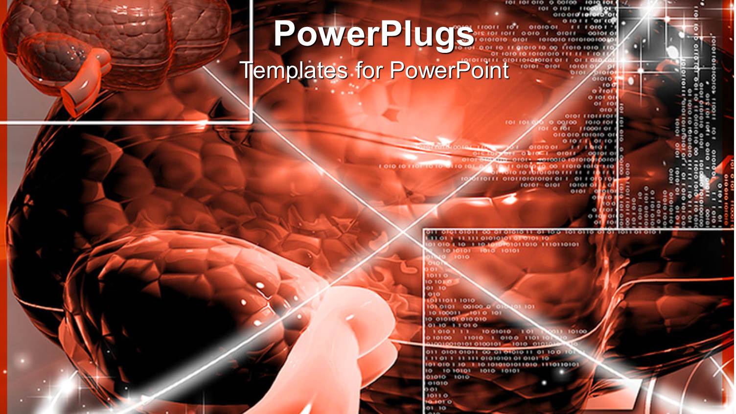 the Power of the Brain with all its Functional Description