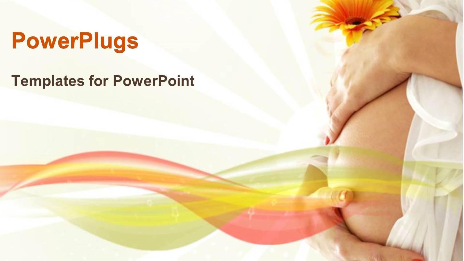 Pregnant Woman Belly Holding her Hands Around her Belly and a Yellow Flower in her Hand on White Background with Sun