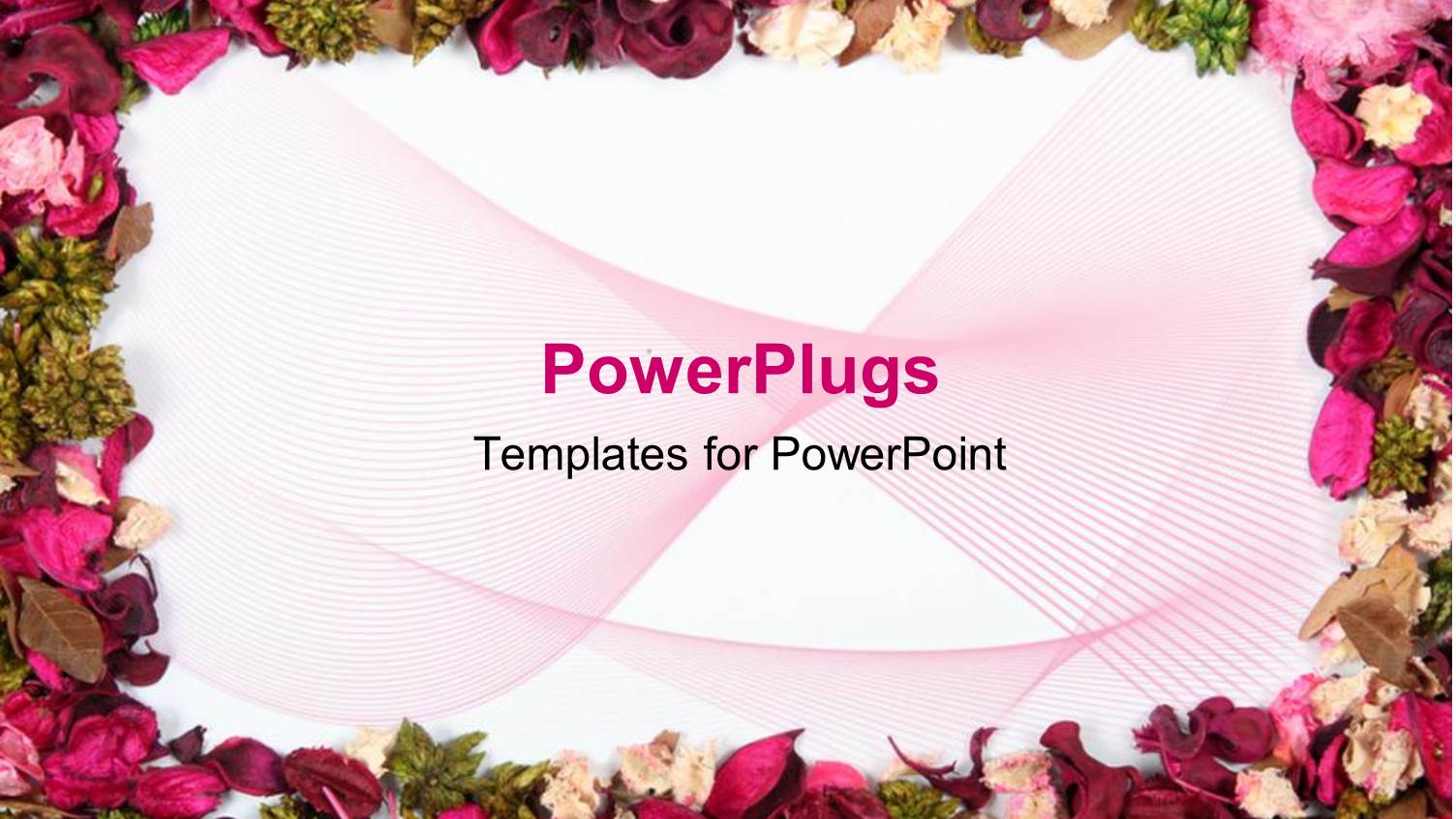 a Pretty Floral Frame of Multi Colored Different Flowers