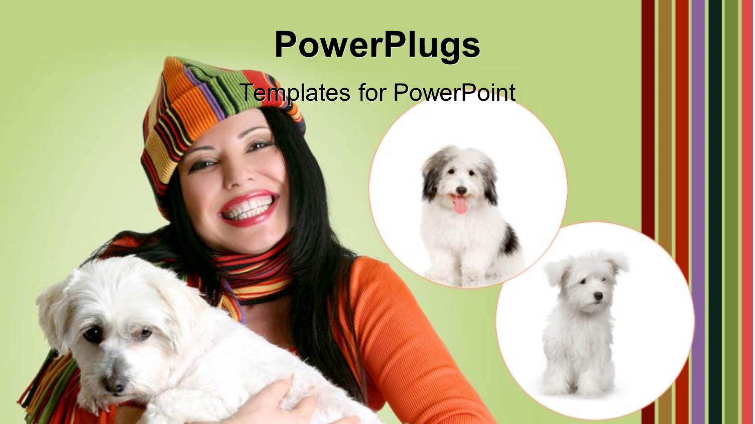 a Pretty Lady Holding a Puppy with Two other Puppies