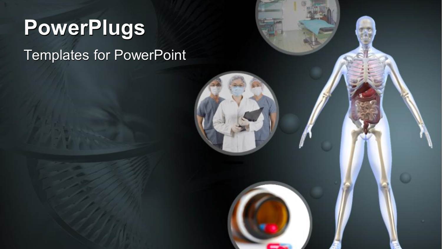 Public Health for Human Body and Internal Organs Anatomy Dna Hospital