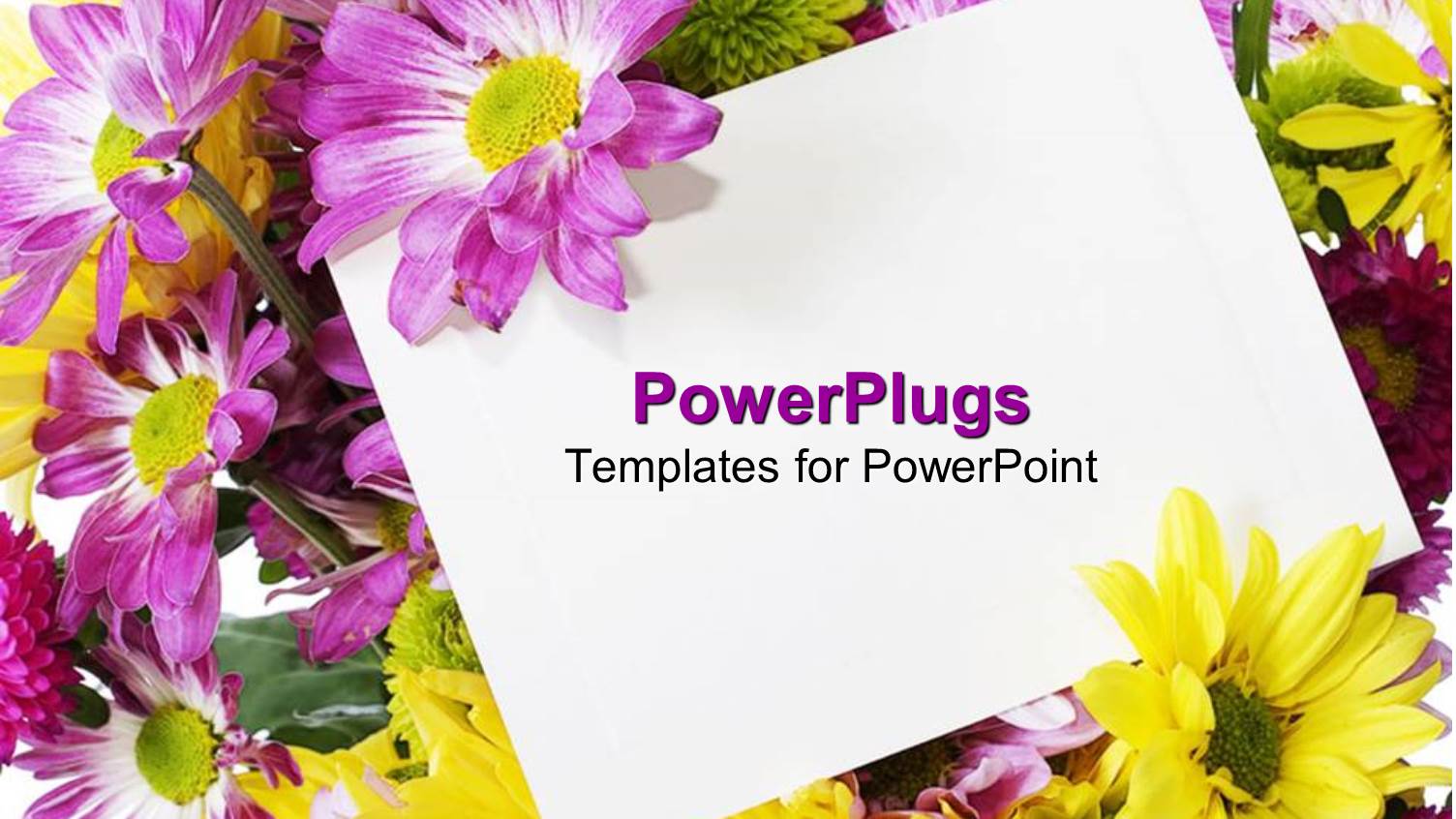 Purple and Yellow Spring Flowers Behind a Blank Note Card