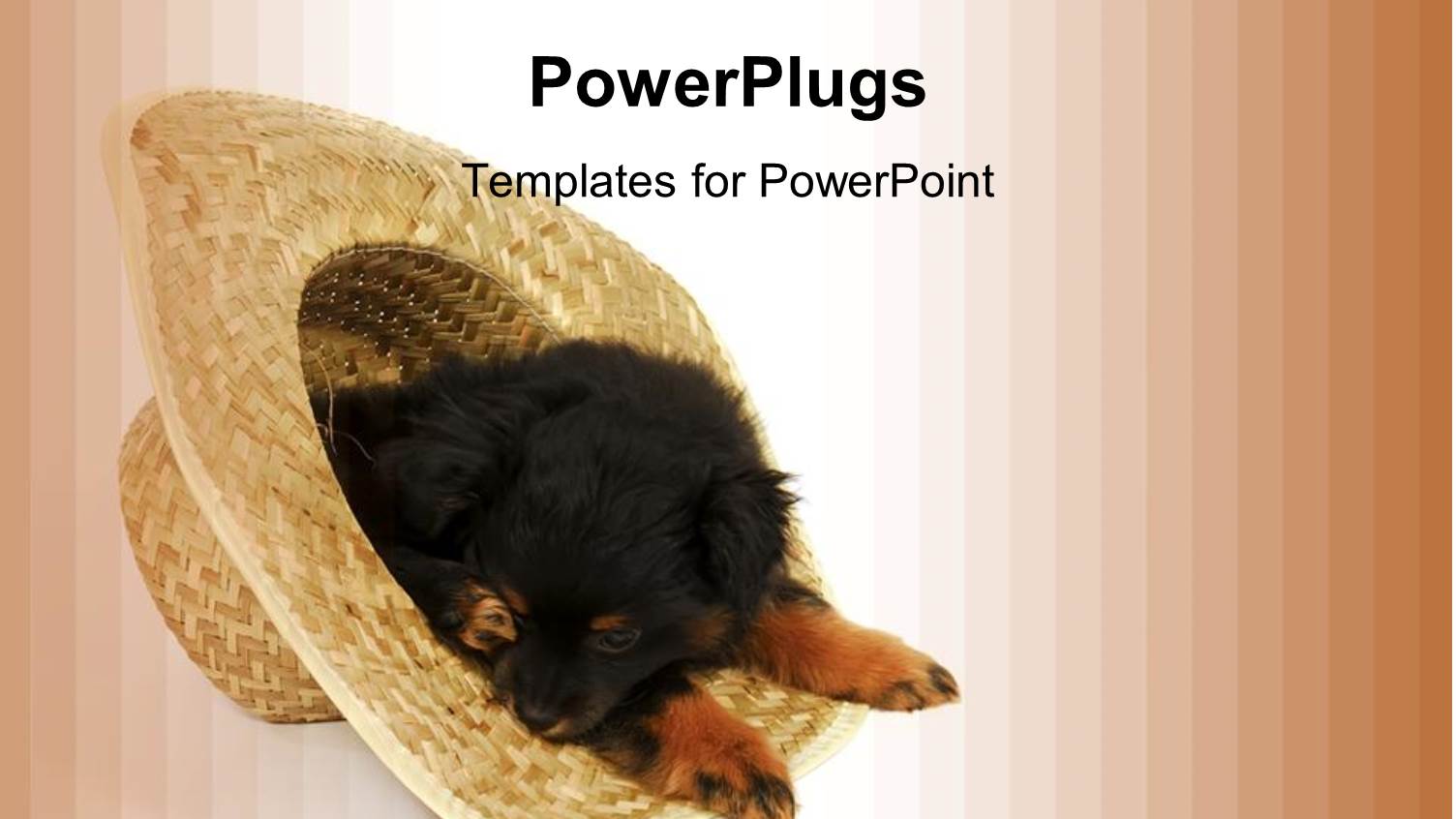 Raffia Made Hat with a Puppy Inside on a Peach Colored Background