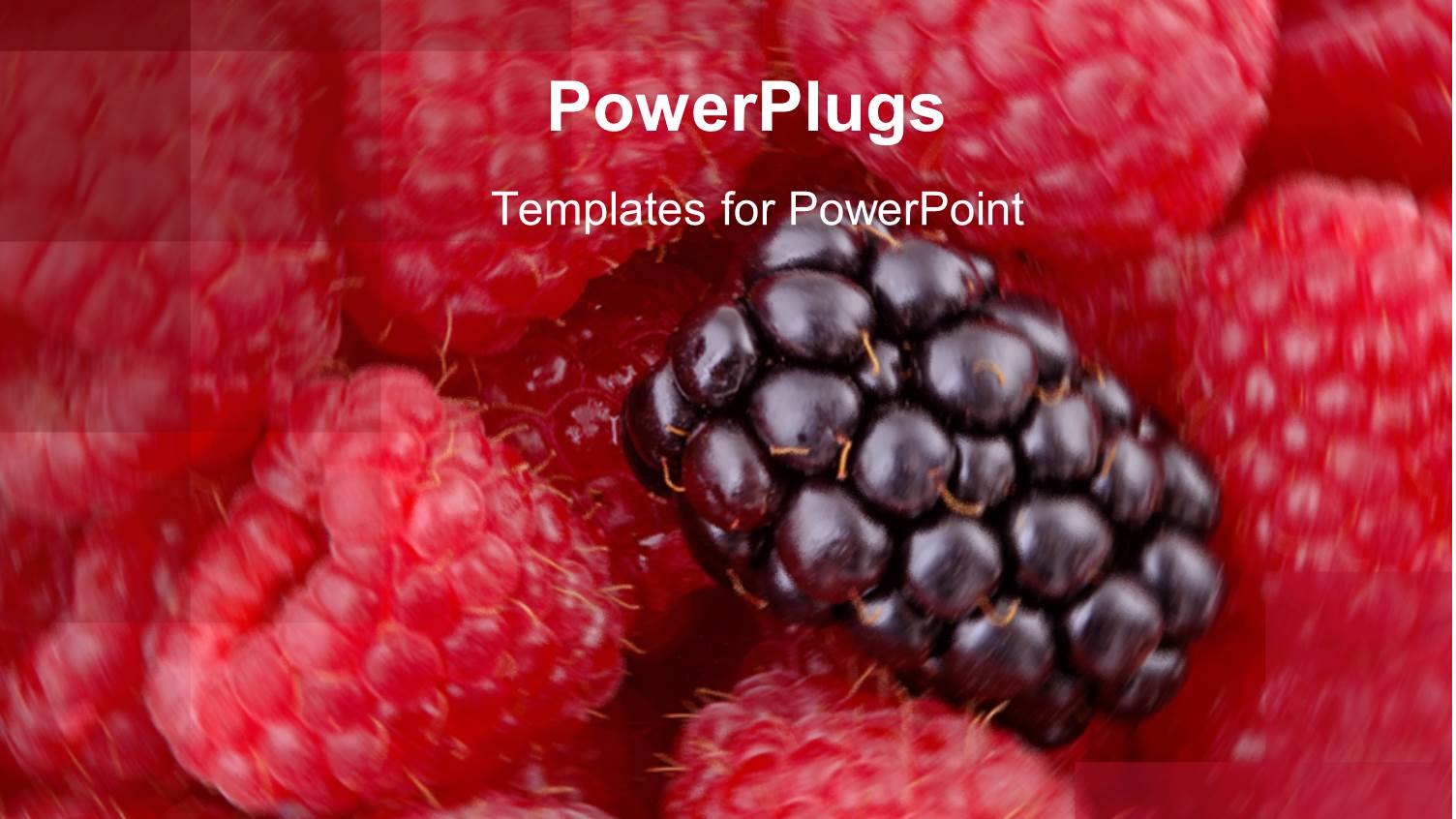 Raspberries on Swirled Background and One Blackberry on Top of the Raspberries