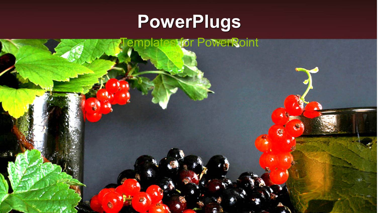 Red and Black Currants with Leaves on Grey Background 