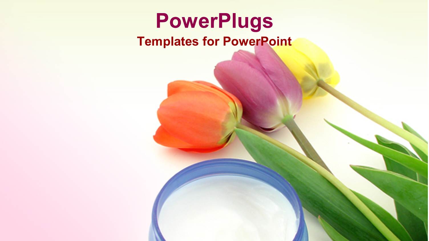 Red, Purple, and Yellow Tulips Next to Jar of Moisturizing Cream