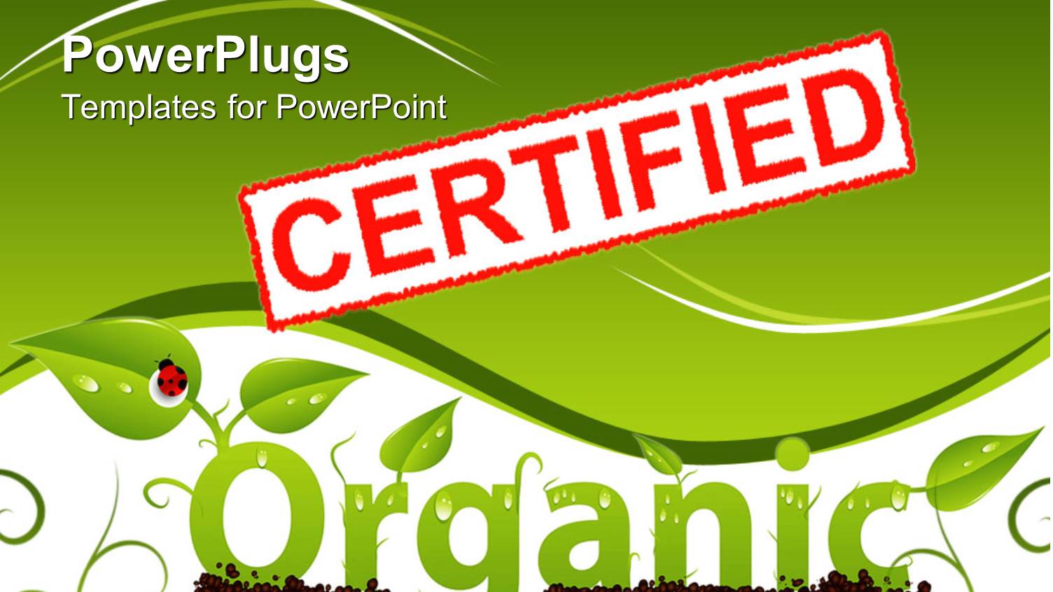 Red and White Certified Stamp Above Organic Made from Young Plants and Lady Bug on Leaf