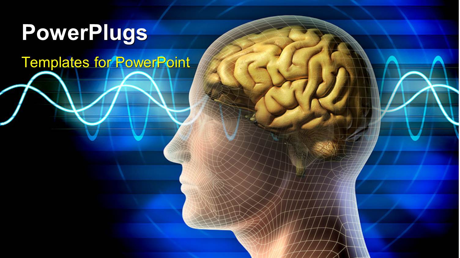a Representation of a Human Brain with Bluish Background