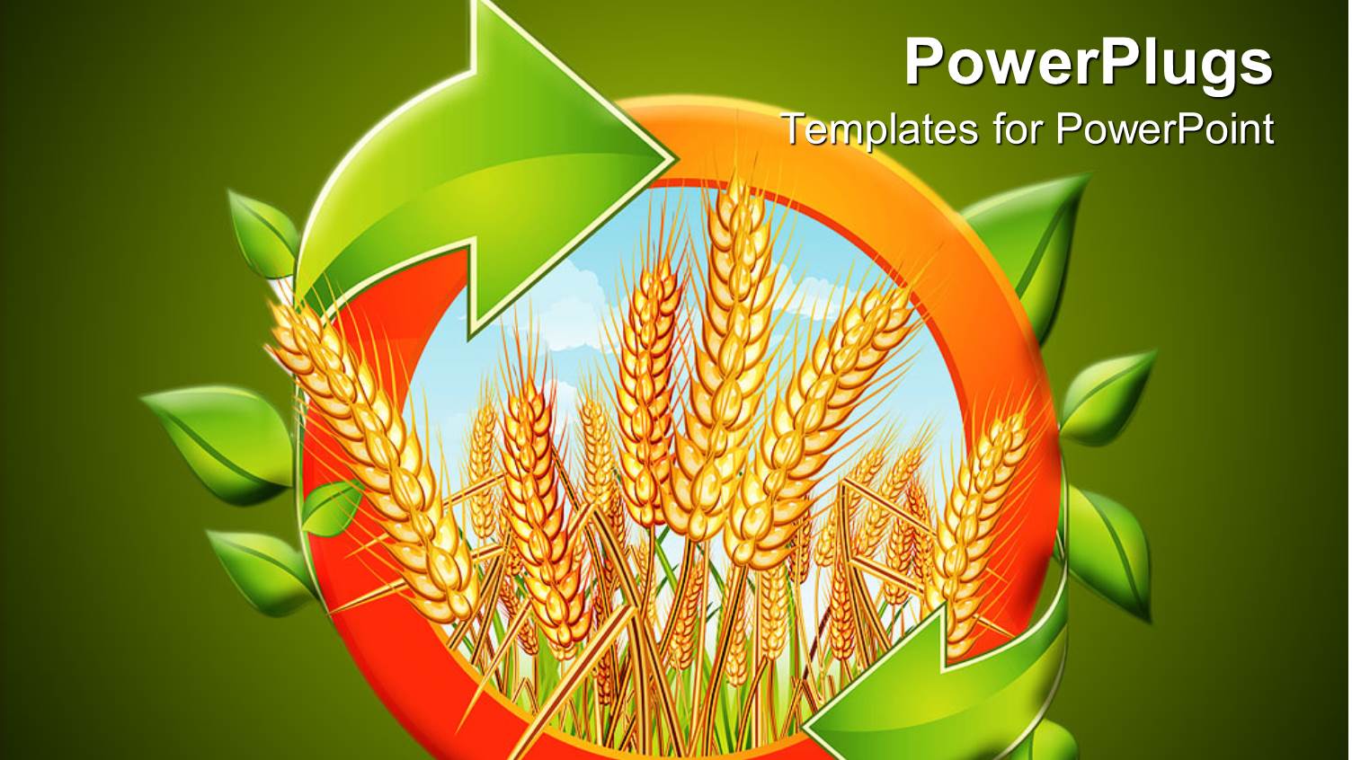 Riped Yellow Wheat with Bright Sky in the Background Displayed in an Orange Circle with Green Leaves and Arrows on