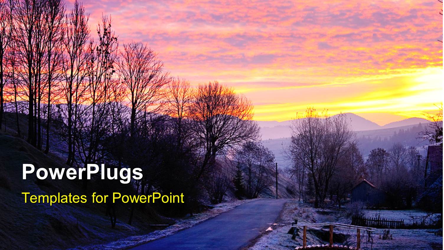 a Road in the Forest with a Sunset in the Background