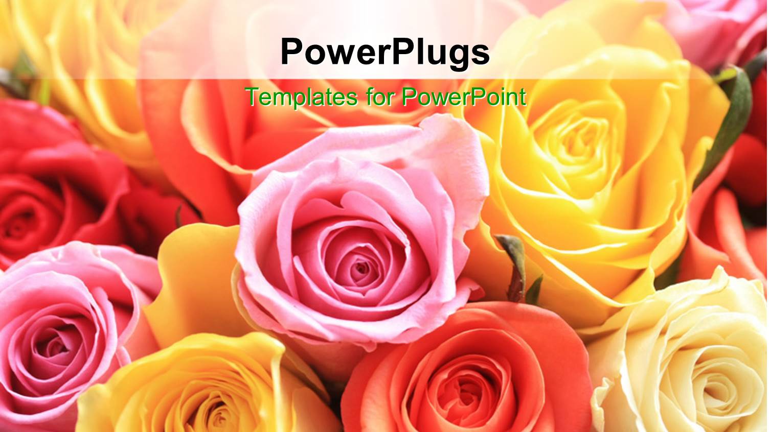 Rose Bouquet of Different Colors, Red, Yellow, Pink, Cream