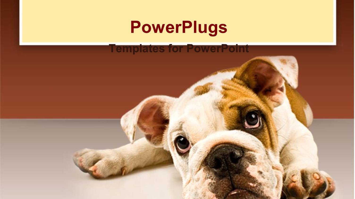 Sad Puppy Eyes Dog Face on Gray Ground and Gradient Brown Background