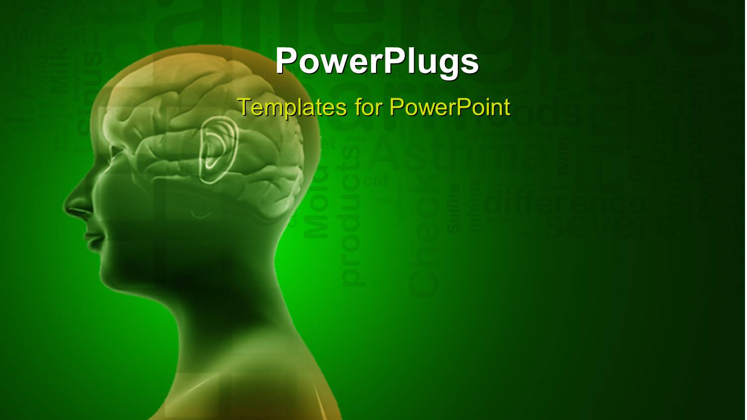 Scan of Human Head Showing the Brain with Allergy Related Terms