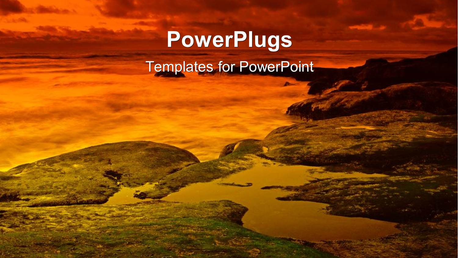 the Scene of the Beach with Sea in the Background