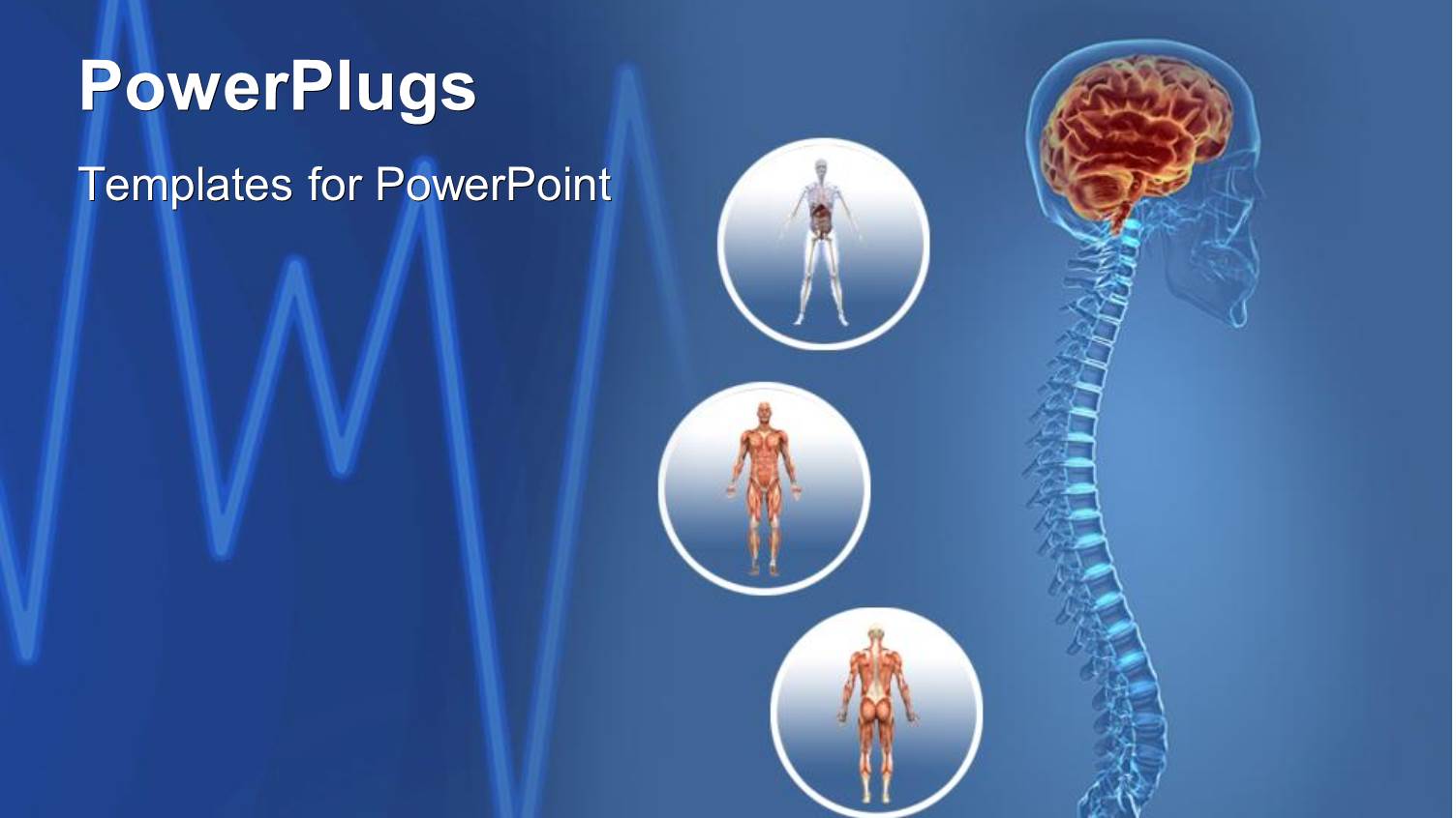 Science Health Human Body Anatomy Organs Heart Beat and Life Lines Blue