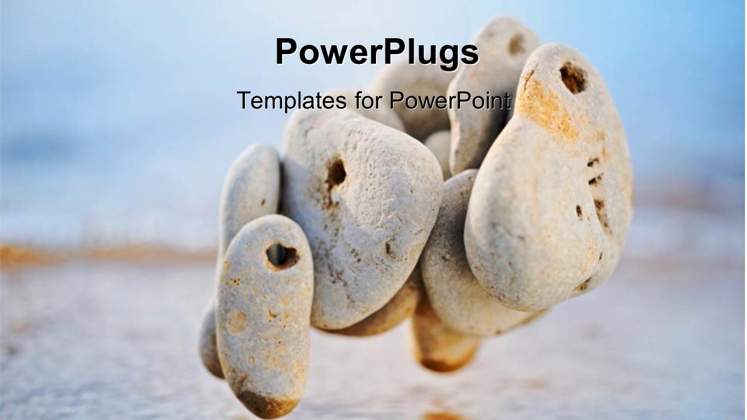 Sea Pebble Flies Over Water in the Summer Morning with Nature