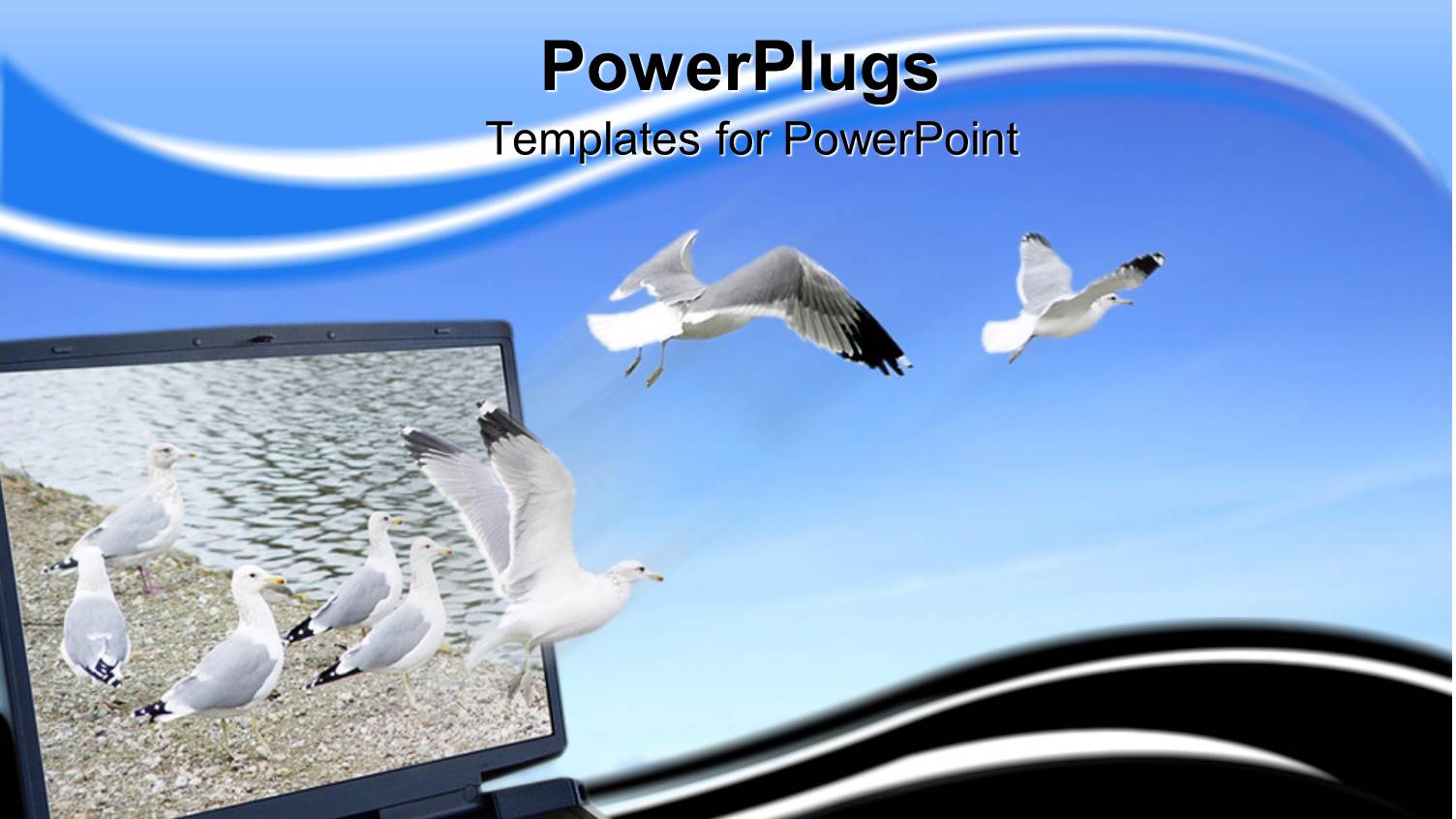 Seagulls Flying Out of Laptop Screen into Blue Sky