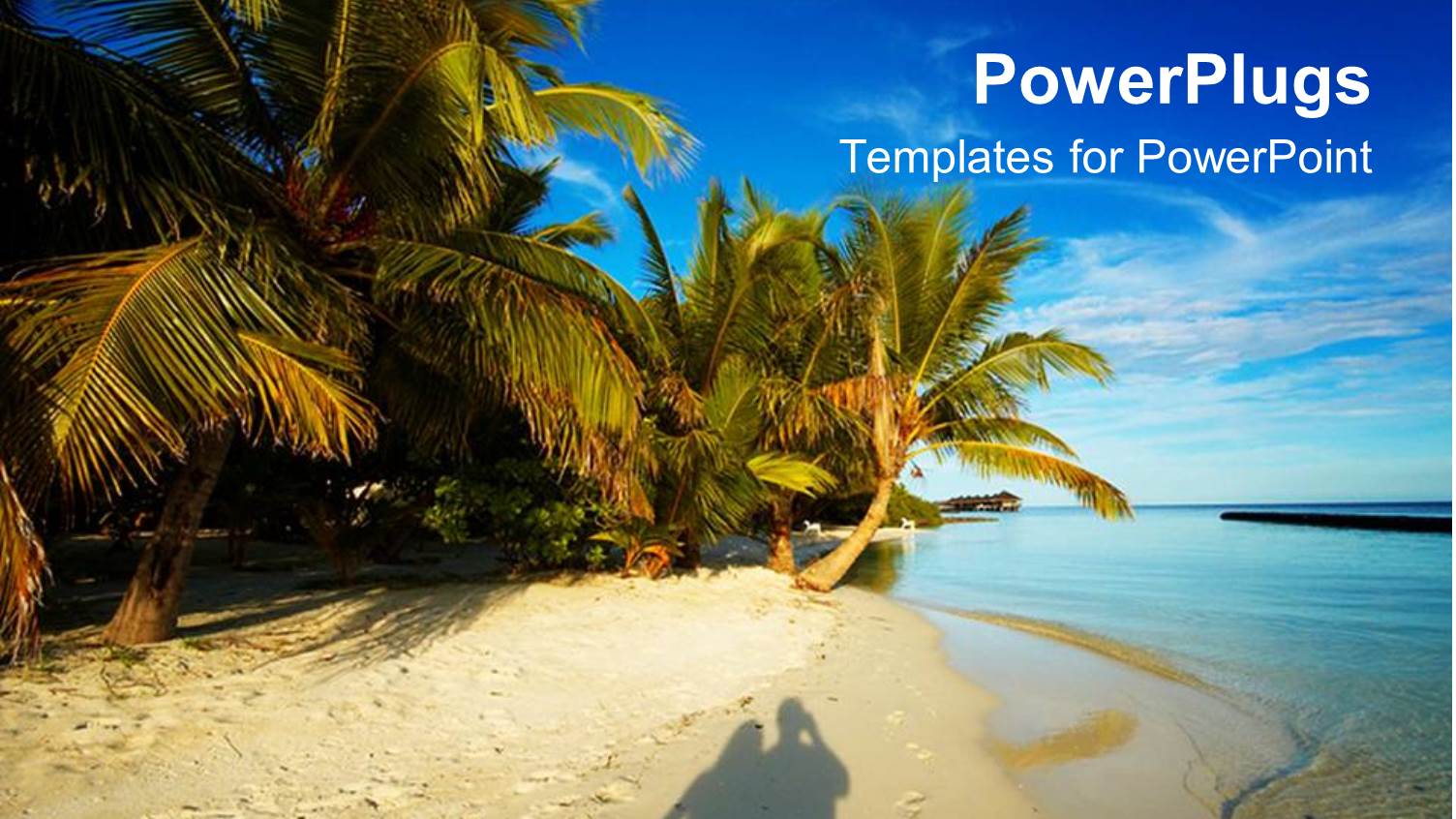 Shadow of Happy Couple on Beach Sand with Palms and Blue Sky
