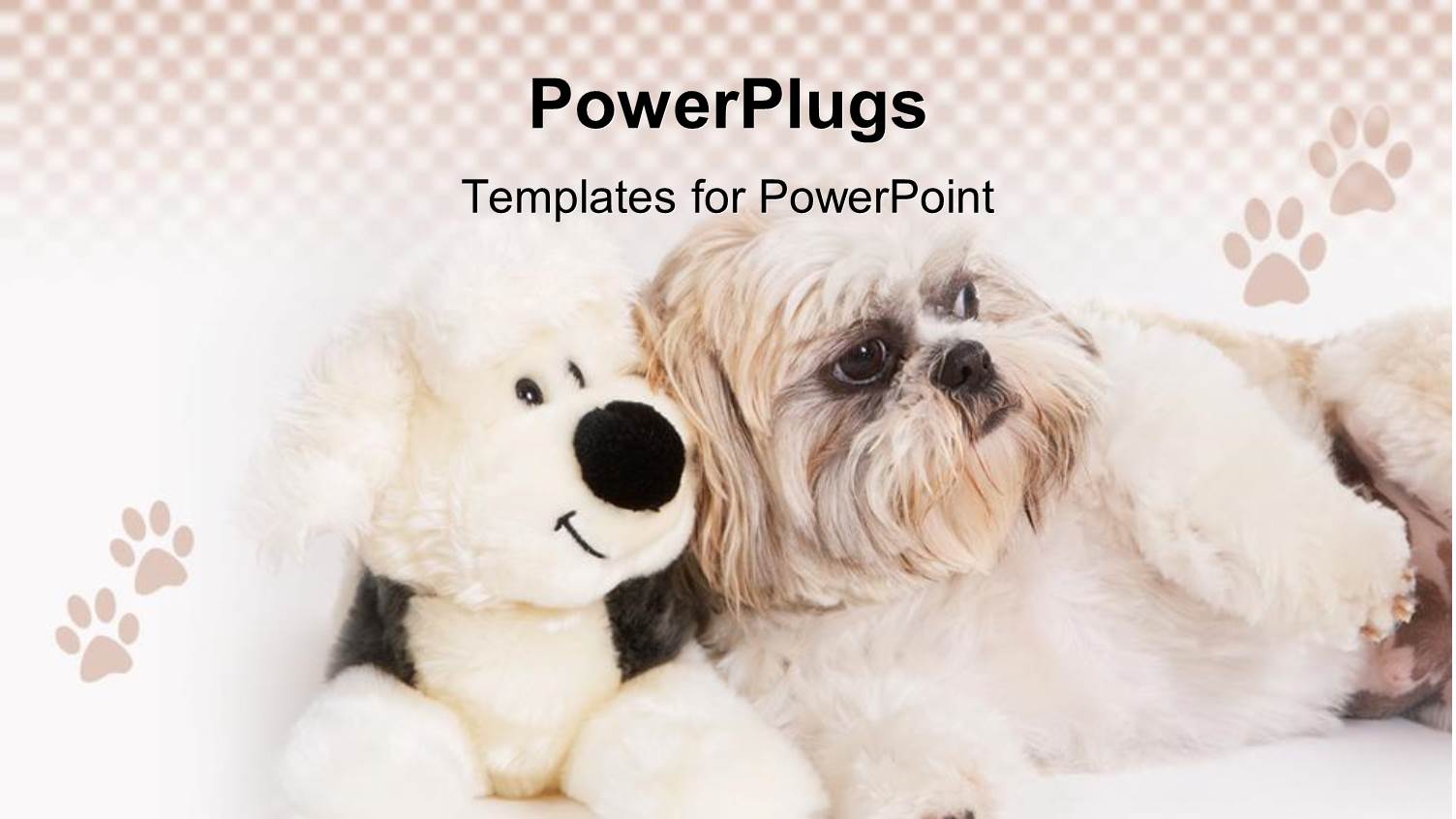 Shih-Tzu Dog Sitting Next to a Stuffed Dog Surrounded by Dog Paws