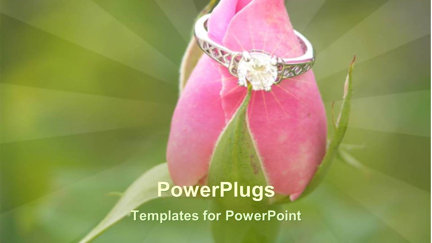 Silver Engagement Ring Sits on Pink Rose