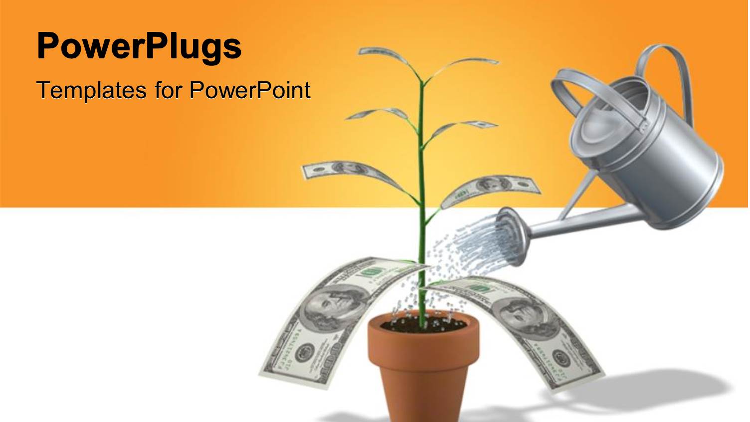 a Silver Watering can Pouring Water into a Money Plant